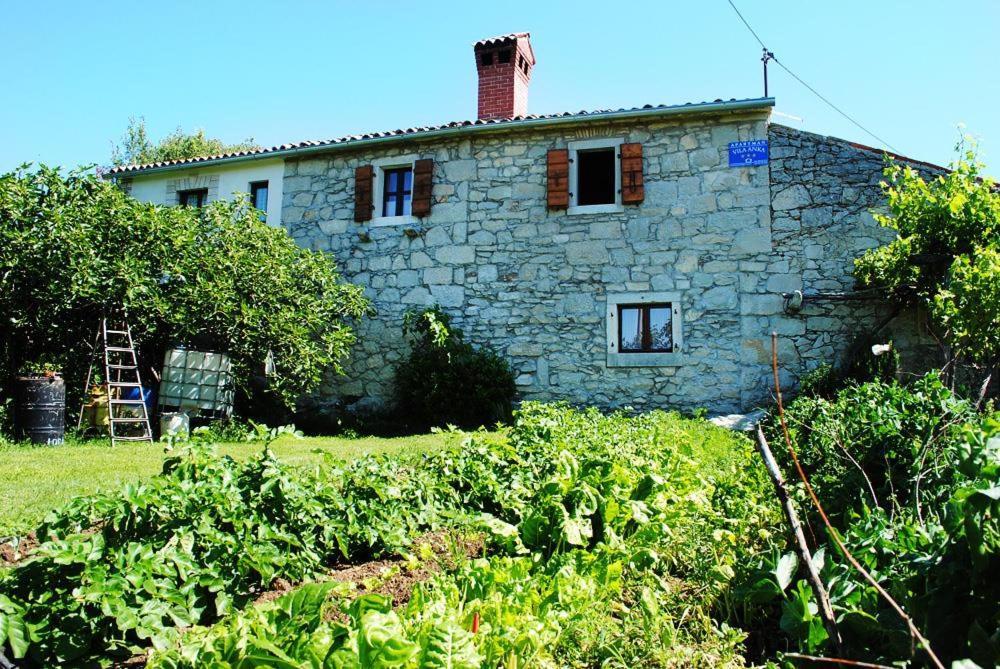 Casa Anka Villa Gračišće Dış mekan fotoğraf